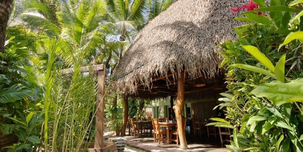 Harbor Reef Hotel Nosara Dış mekan fotoğraf